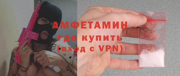 крисы Кулебаки