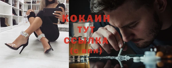 ECSTASY Ладушкин