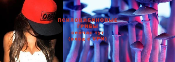 шишки Лабытнанги
