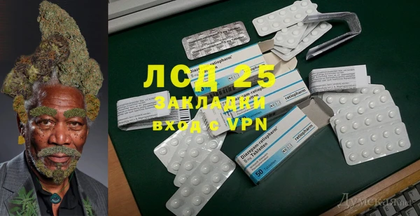 гидра Липки