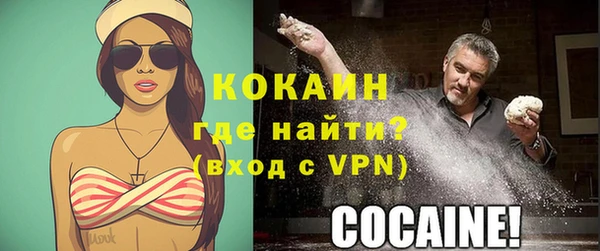 гидра Липки