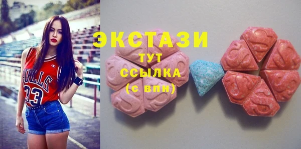 шишки Лабытнанги