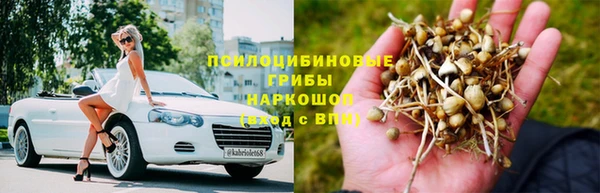 хмурый Кукмор