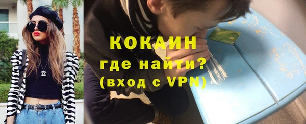 крисы Кулебаки