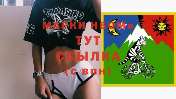 крисы Кулебаки